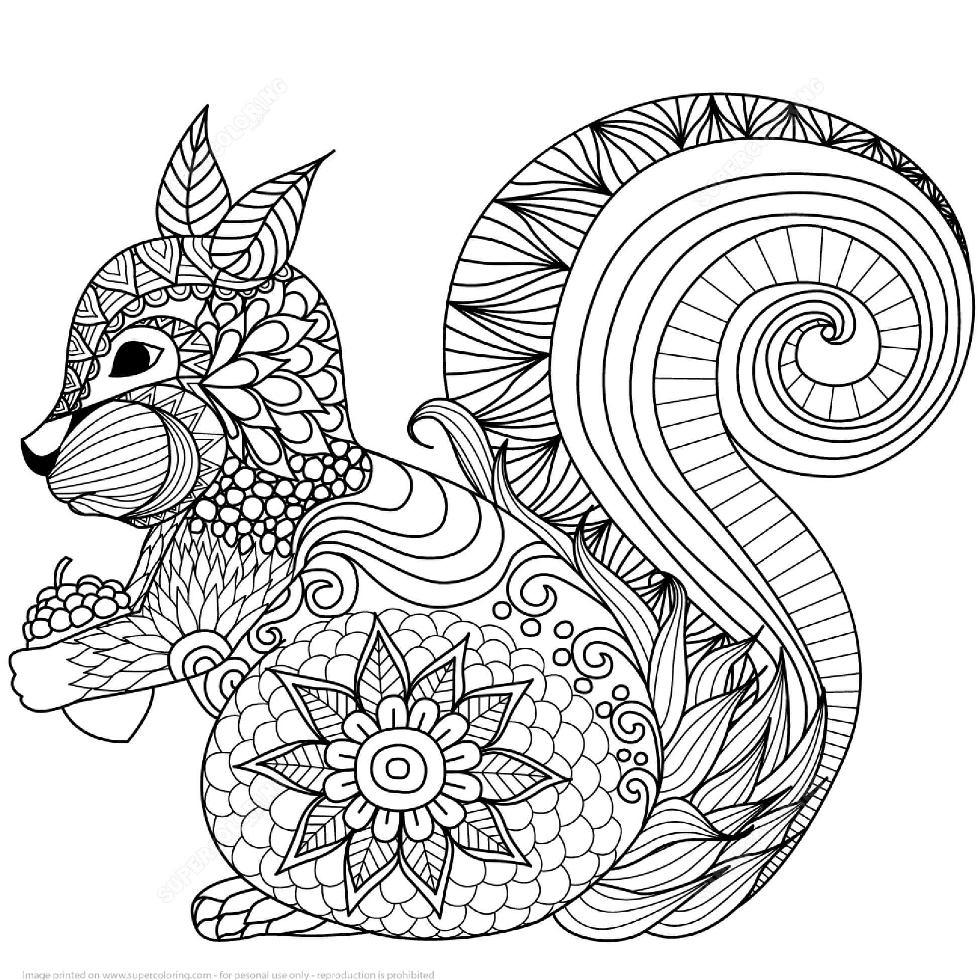Coloriage Mandala: Écureuil tenant un gland Mandalas