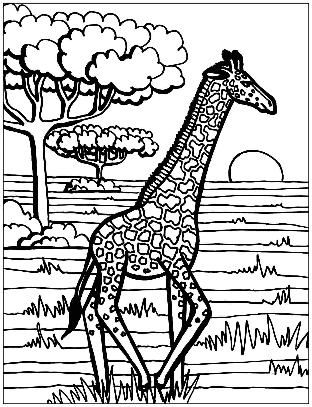 Coloriage Mandala: Girafe Feuille 10 Mandalas