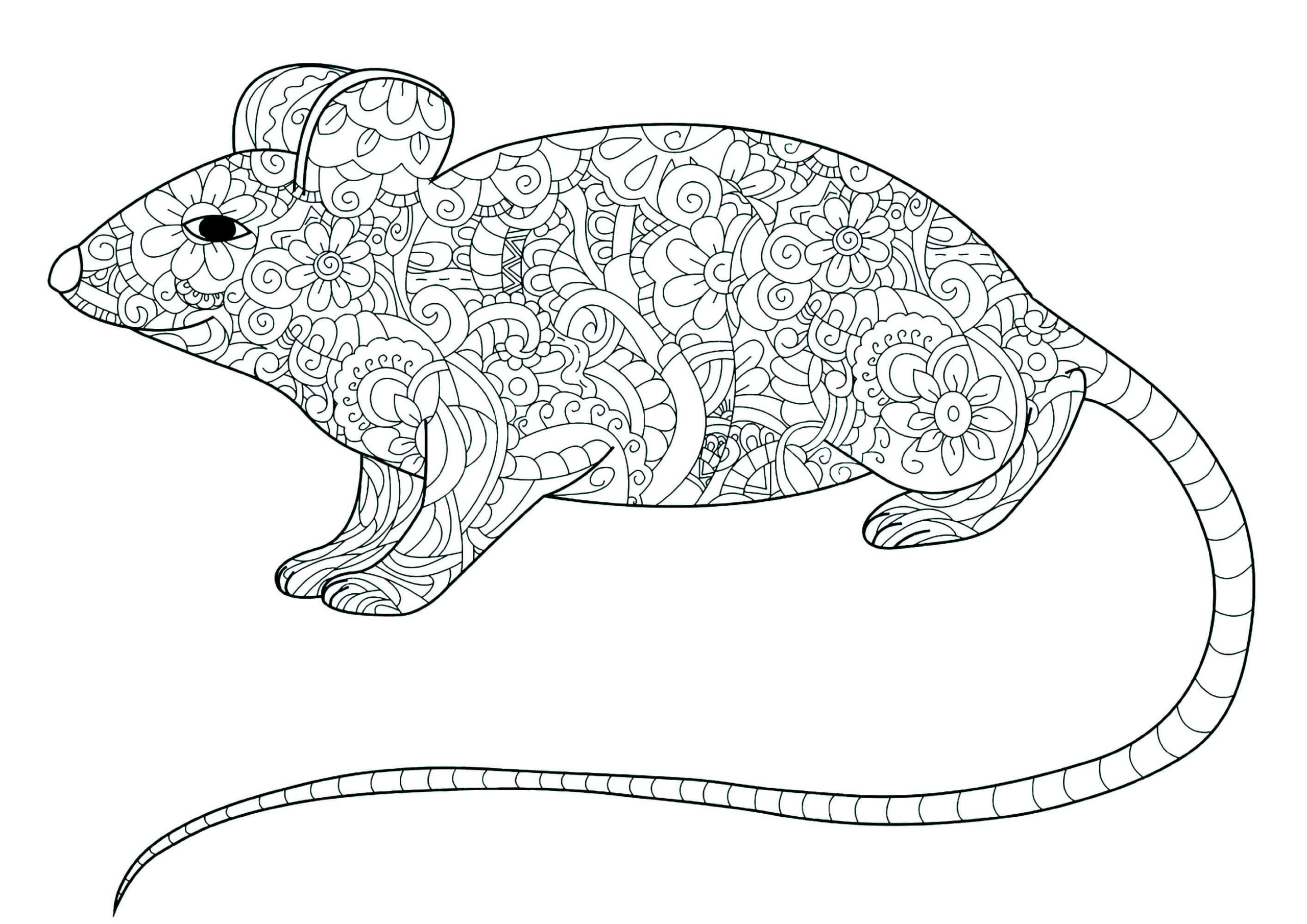 Coloriage Mandala: Petite souris fleurie Mandalas