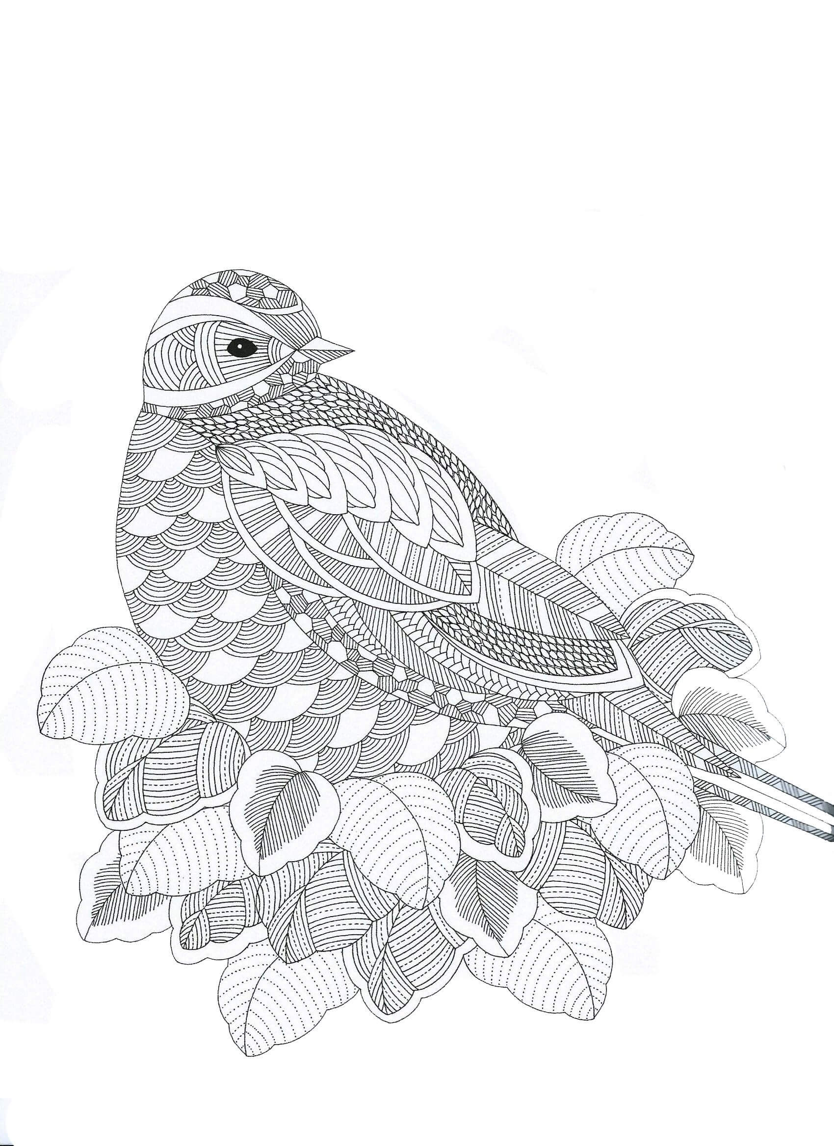 Coloriage Mandala: Pigeon avec des feuilles Mandalas