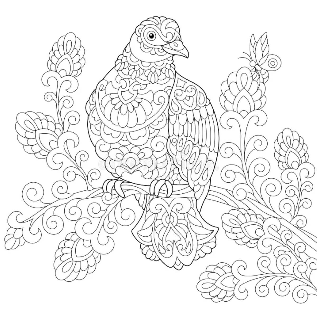 Coloriage Mandala: Pigeon debout Mandalas