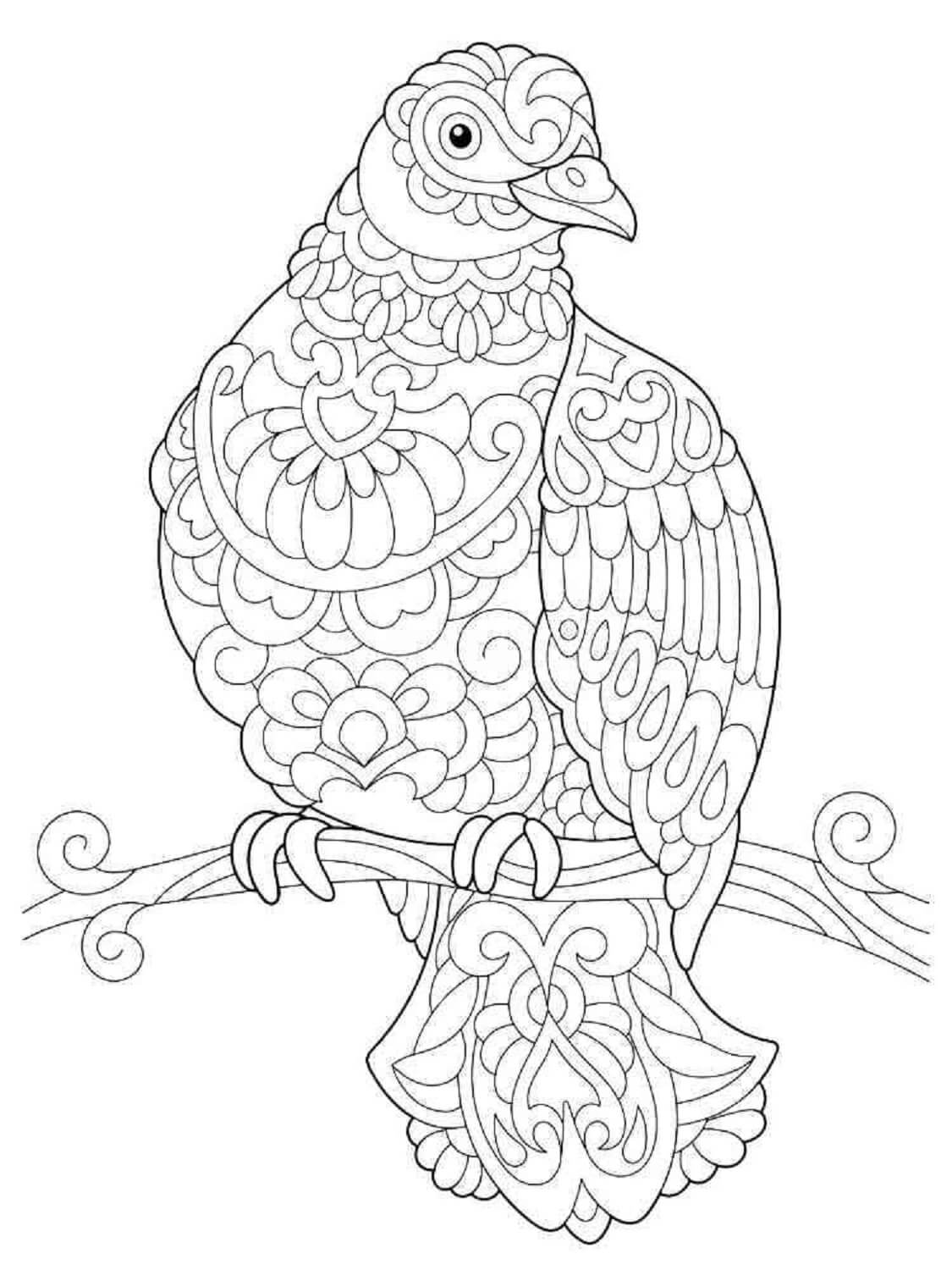 Coloriage Mandala: Pigeon sur une branche d'arbre Mandalas