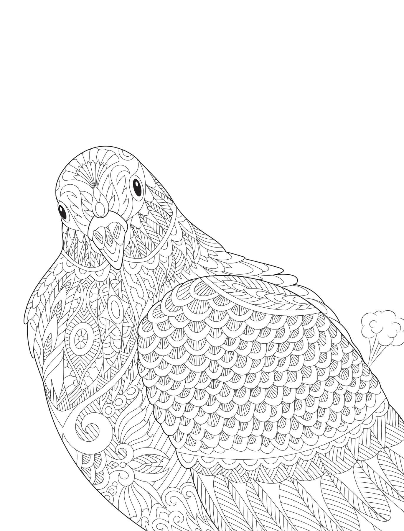 Coloriage Mandala: Portrait de pigeon Mandalas