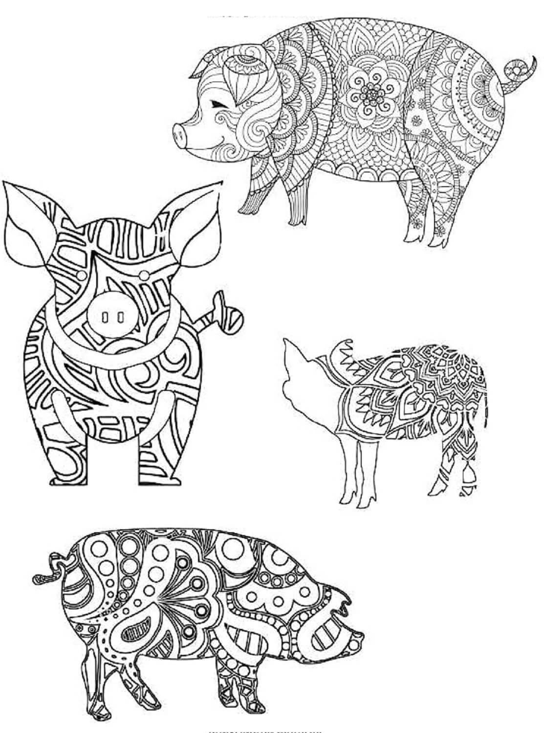 Coloriage Mandala: Quatre cochons Mandalas