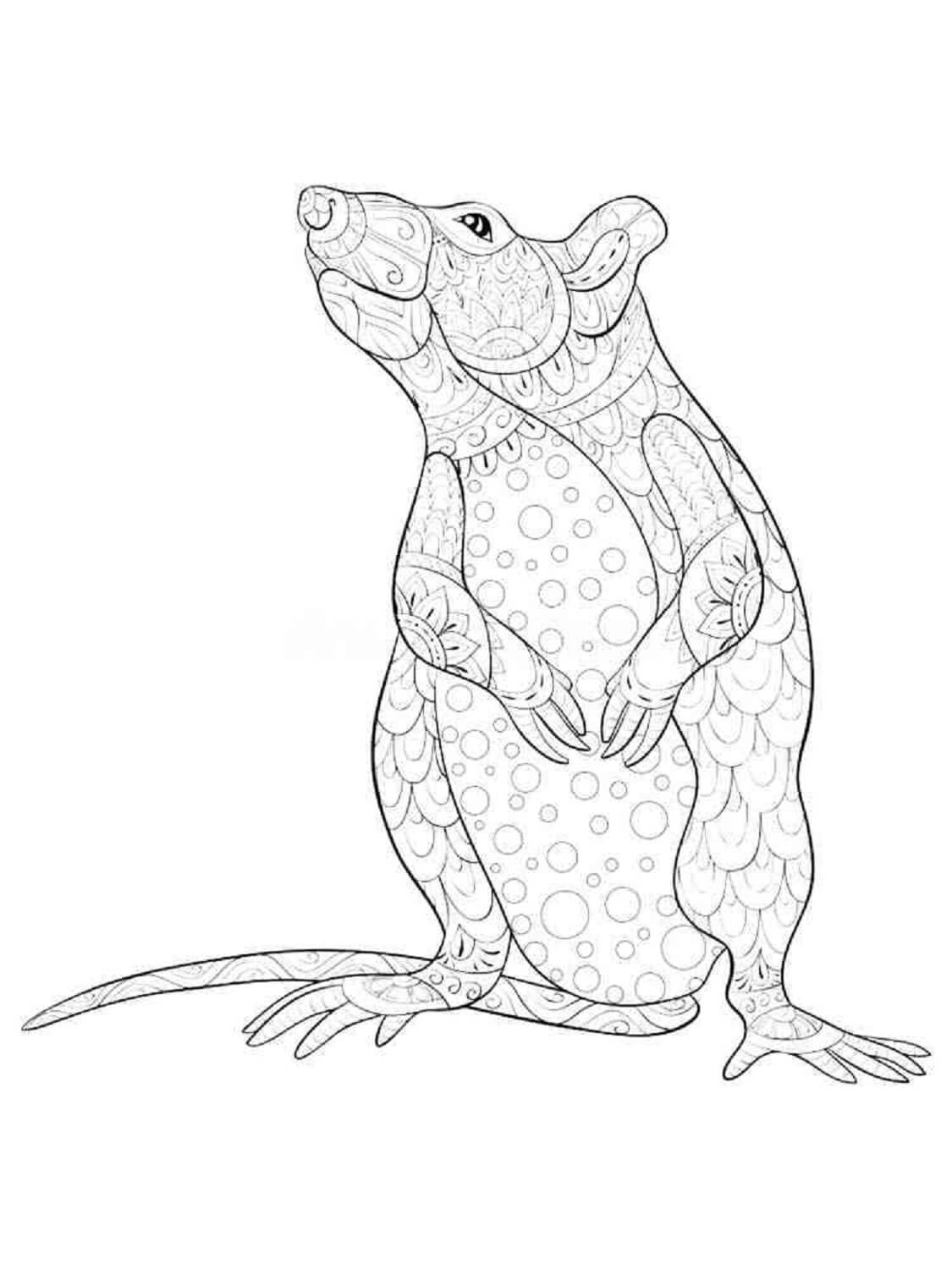 Coloriage Mandala: Souris Feuille 4 Mandalas