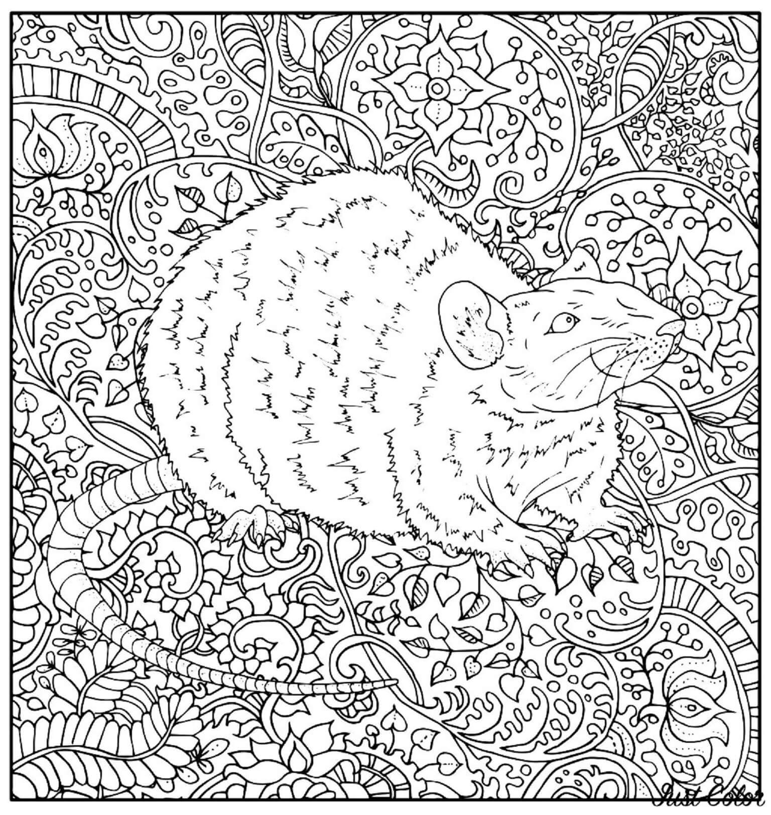 Coloriage Mandala: Souris Feuille 5 Mandalas