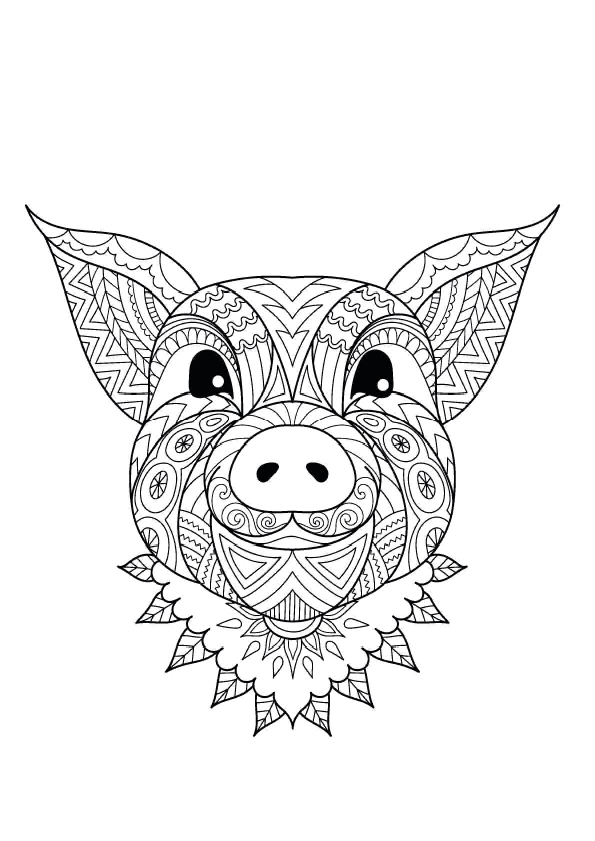 Coloriage Mandala: Tête de cochon Mandalas