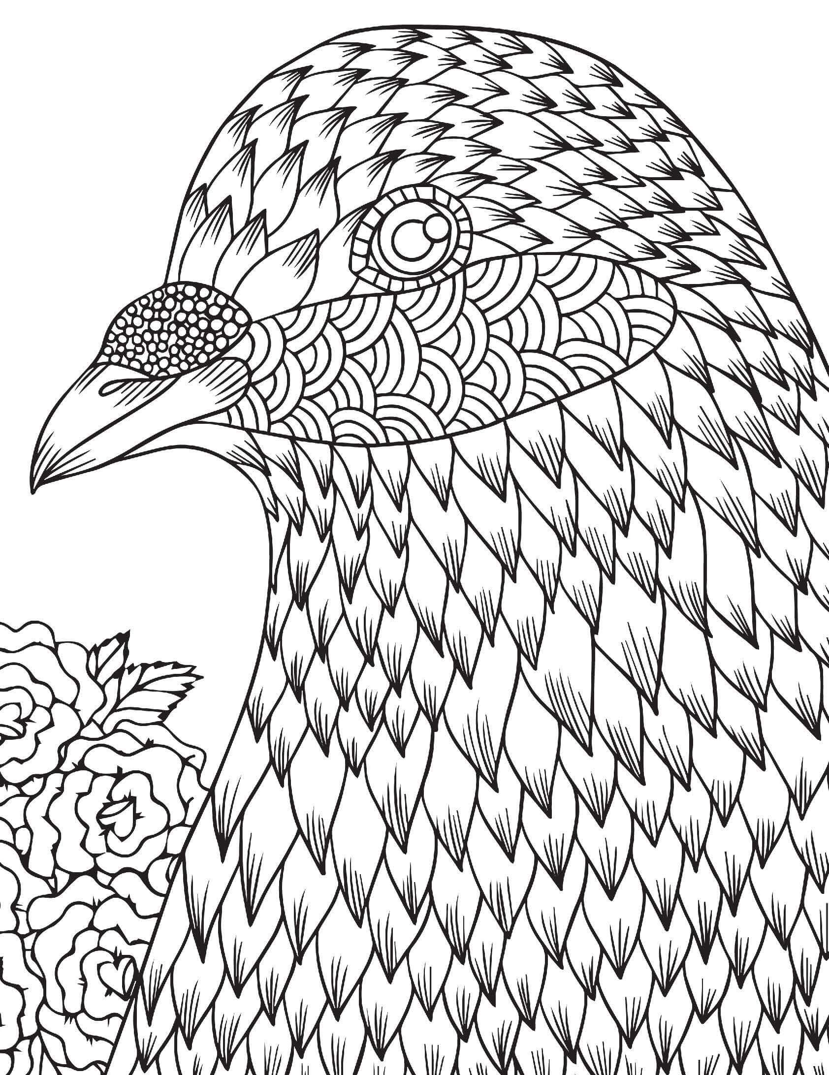 Coloriage Mandala: Visage de pigeon Mandalas