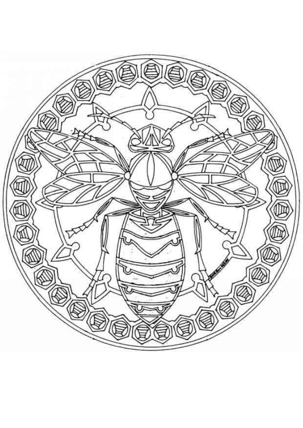 Coloriage Mandala: Abeille Feuille 4 Mandalas