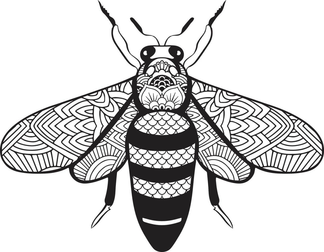 Coloriage Mandala: Abeille Feuille 6 Mandalas