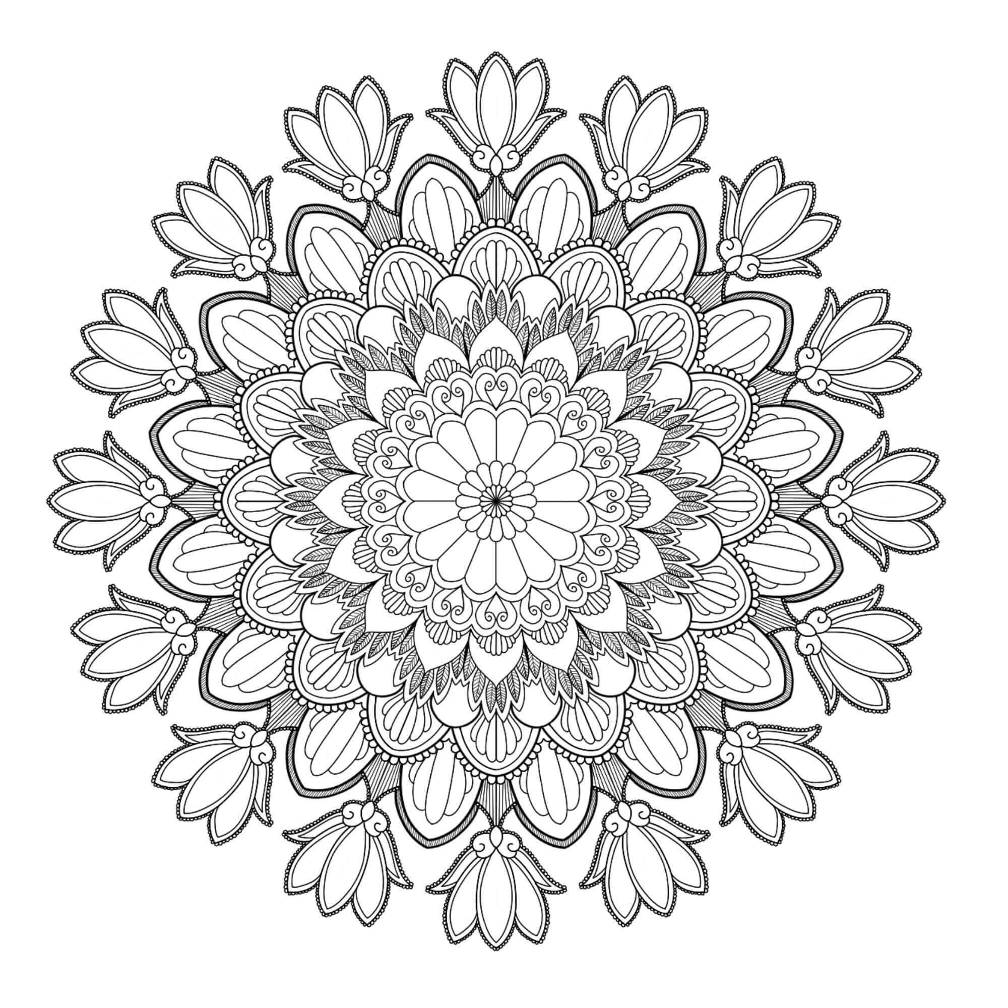 Coloriage Mandala: Tulipe Feuille 11 Mandalas