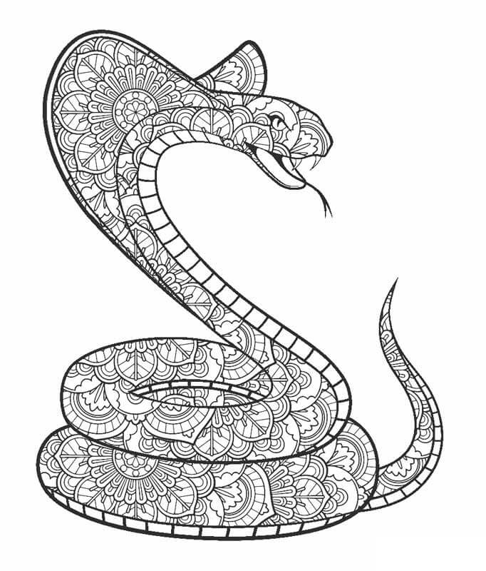 Corba Mandala Coloring Page Mandalas