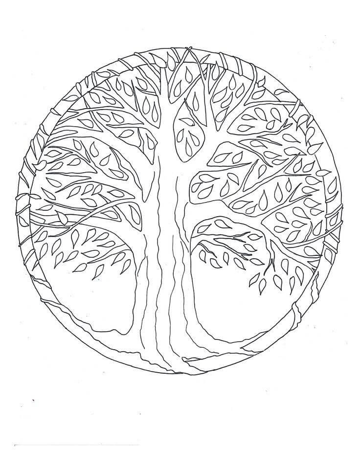 Coloriage Mandala: Arbre Feuille 7 Mandalas