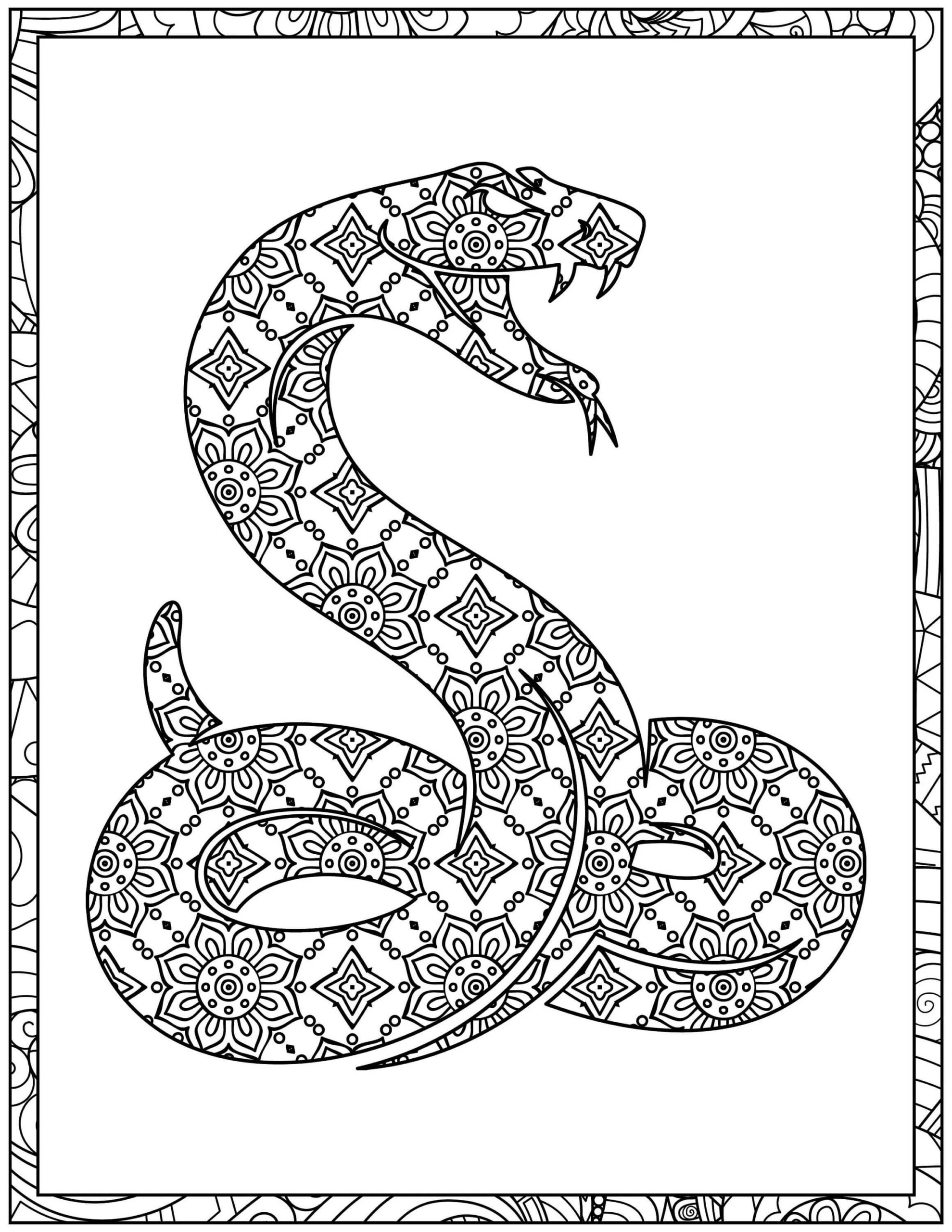 Coloriage Mandala: Beau serpent Mandalas