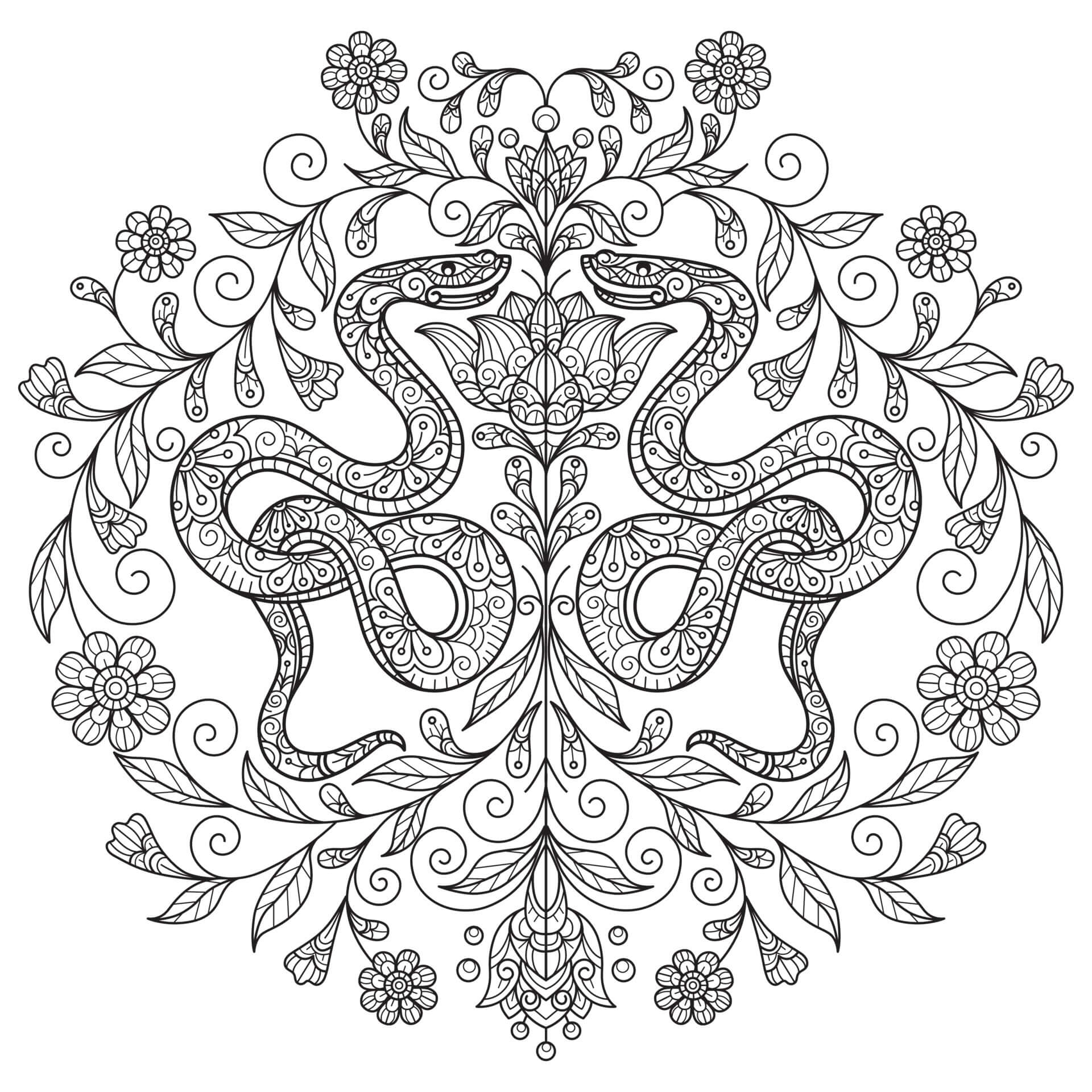Coloriage Mandala: Deux magnifiques serpents avec des fleurs Mandalas