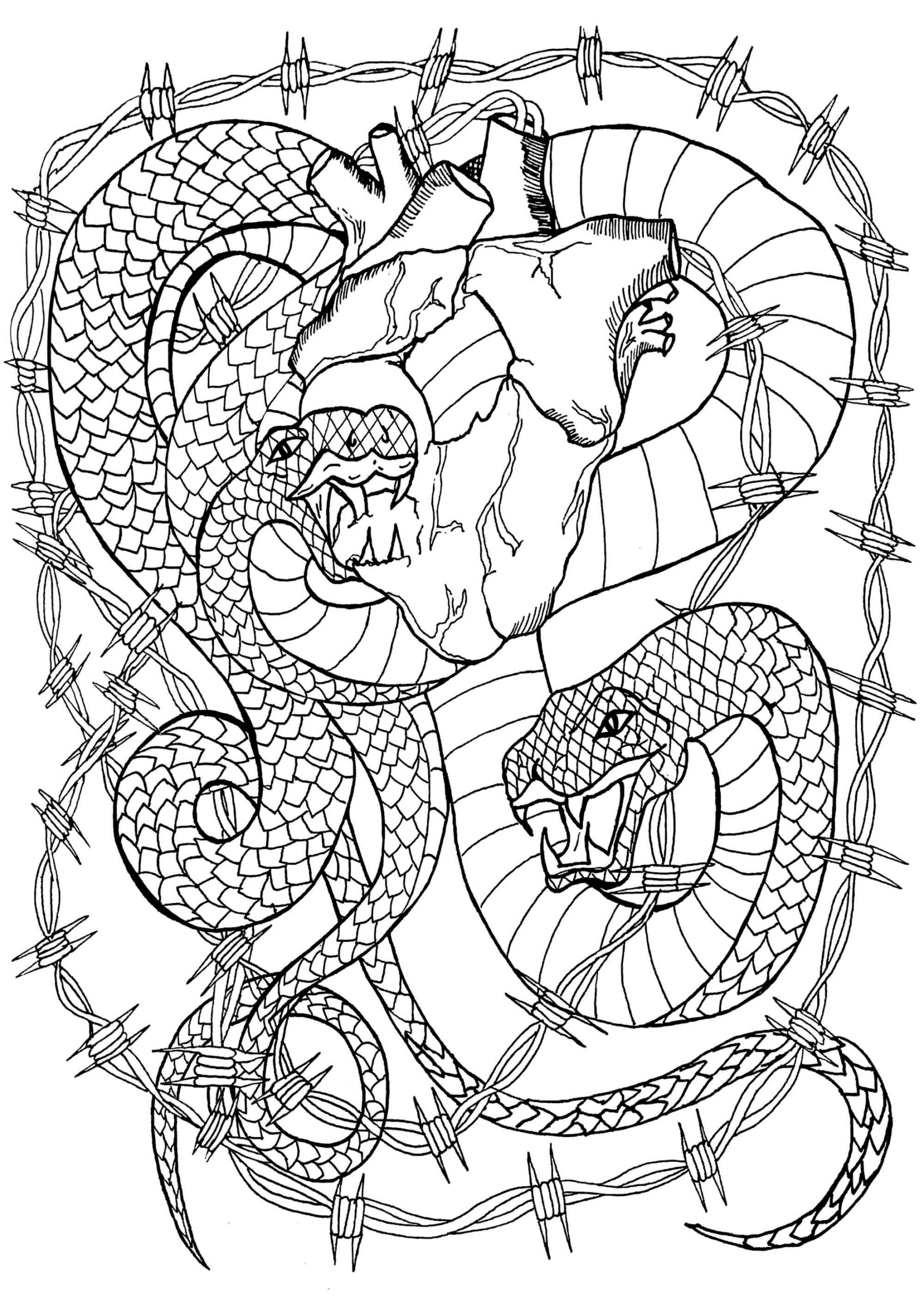 Coloriage Mandala: Deux serpents au cœur Mandalas
