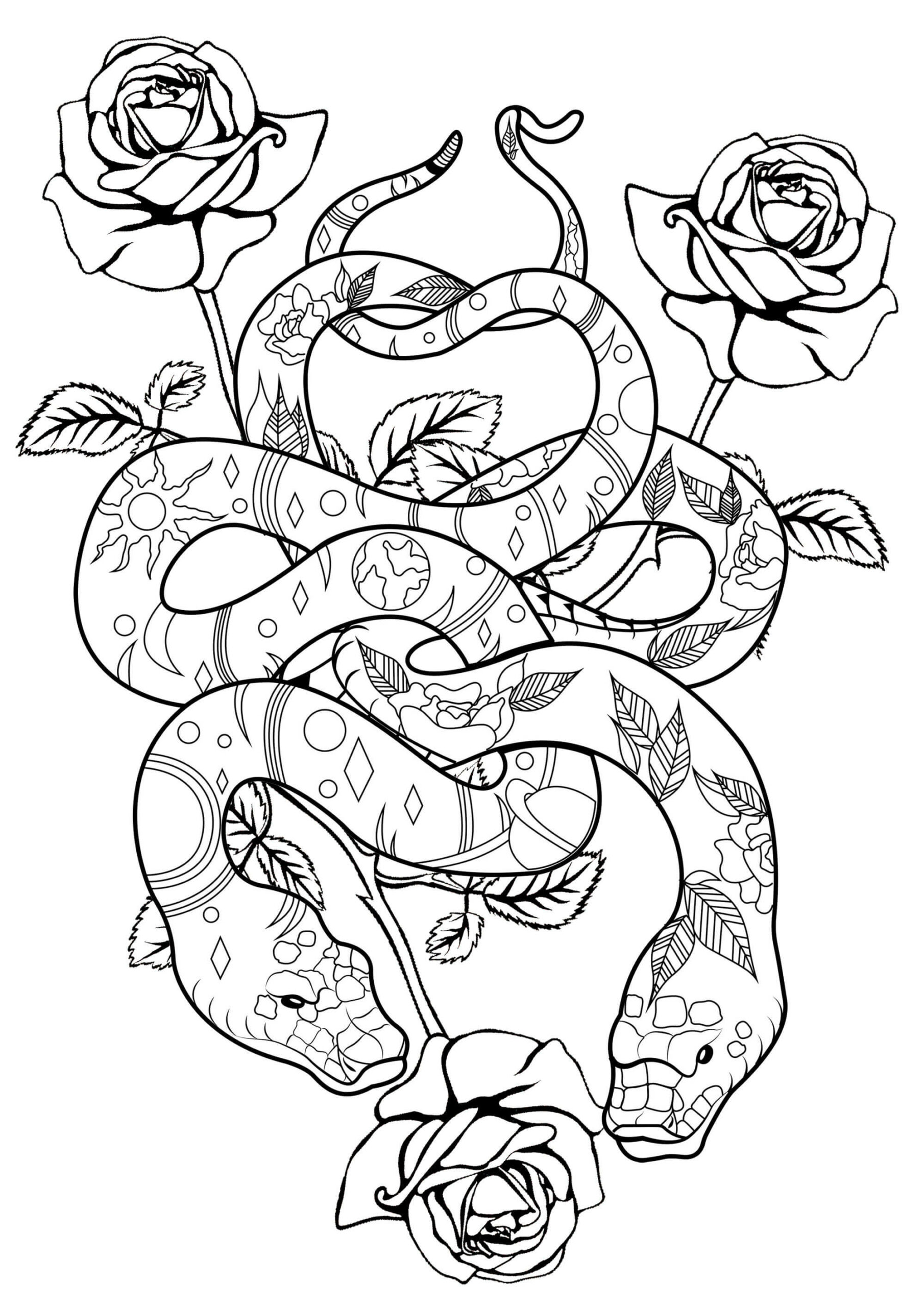 Coloriage Mandala: Deux serpents avec des roses Mandalas