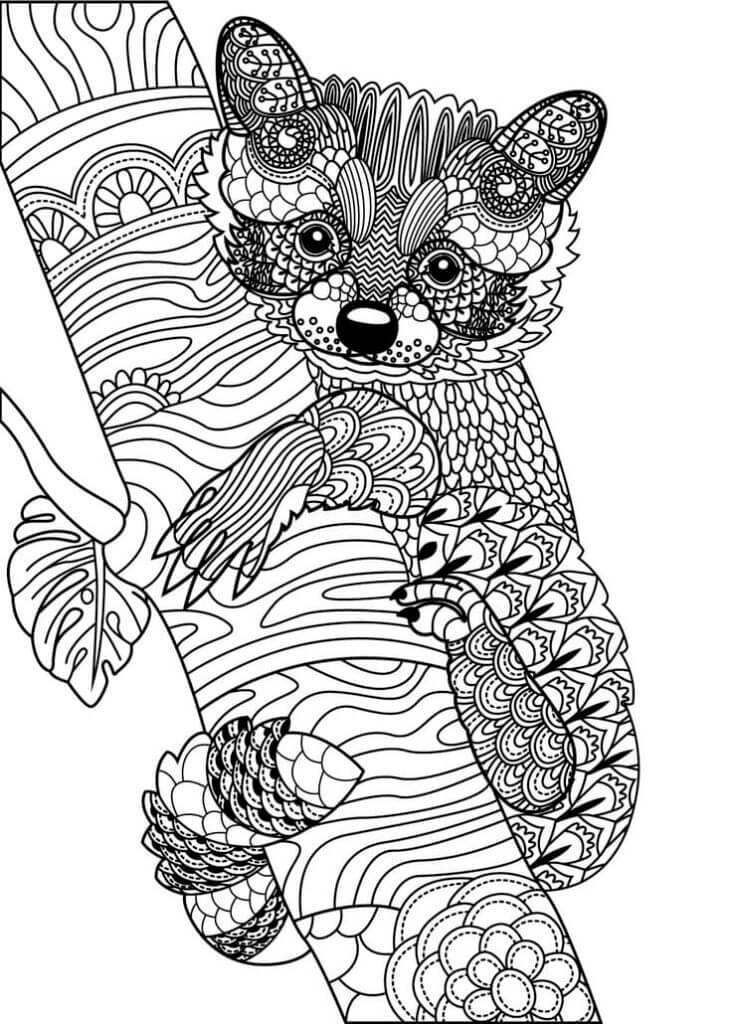 Coloriage Mandala: Koala dans une branche d'arbre Mandalas