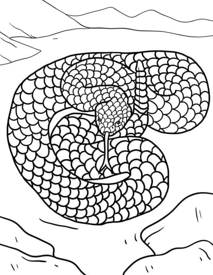 Coloriage Mandala: Serpent avec des pierres Mandalas