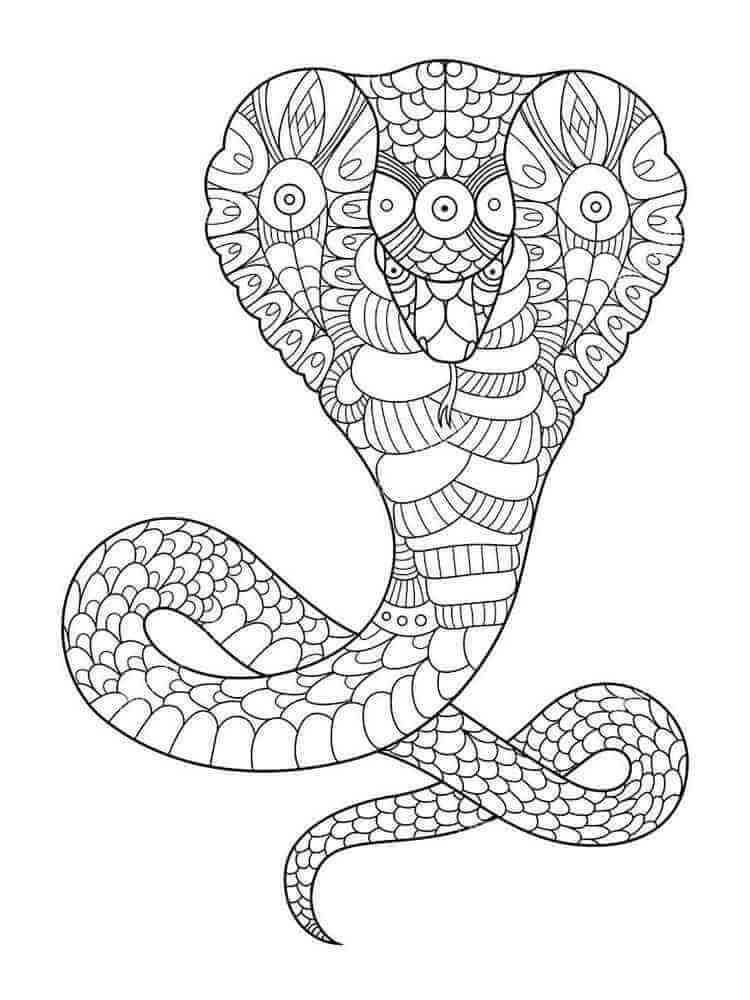 Coloriage Mandala: Serpent Feuille 12 Mandalas