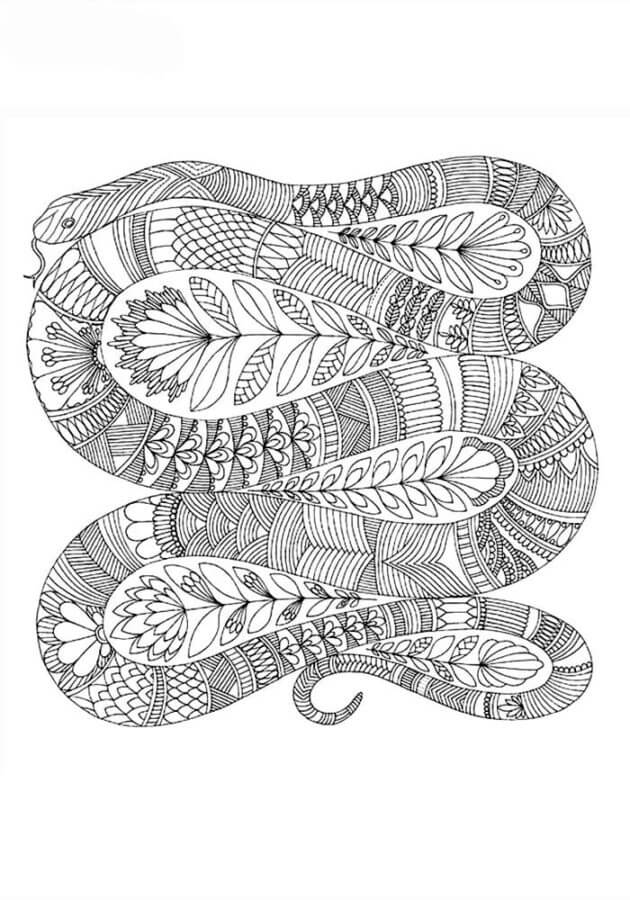 Coloriage Mandala: Serpent Feuille 16 Mandalas