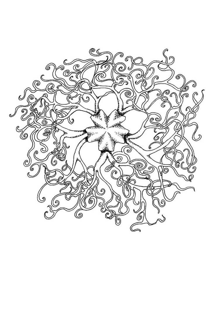 Coloriage Mandala: Serpent Feuille 7 Mandalas