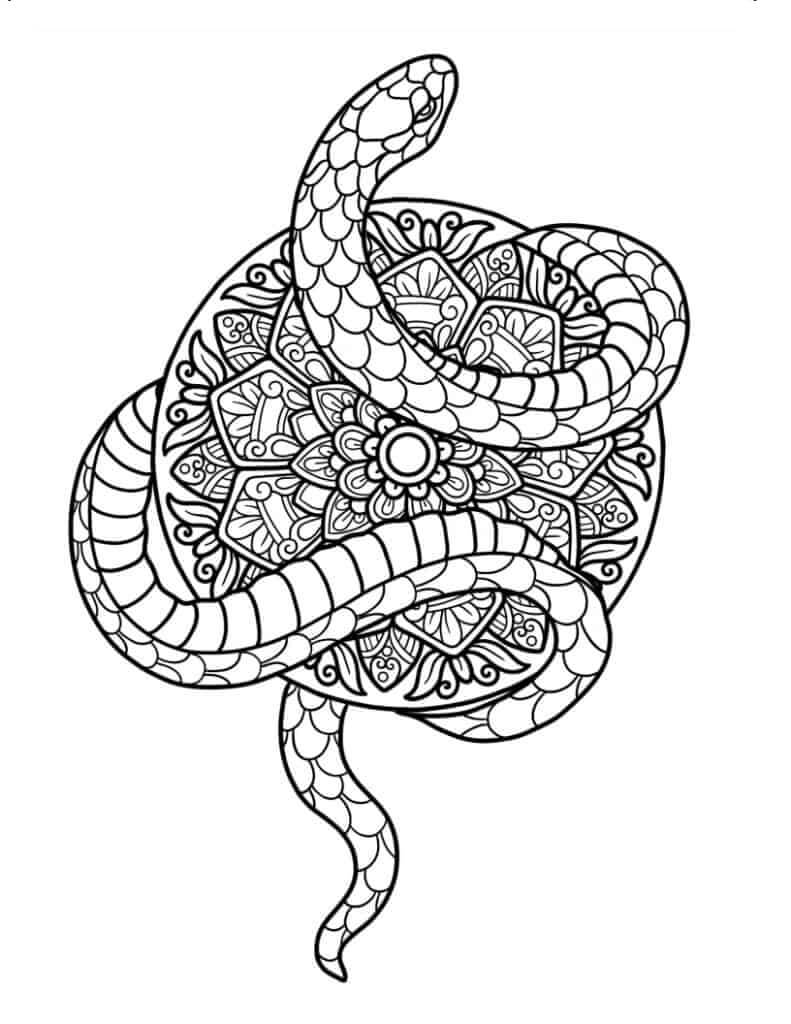 Coloriage Mandala: Serpent Feuille 8 Mandalas