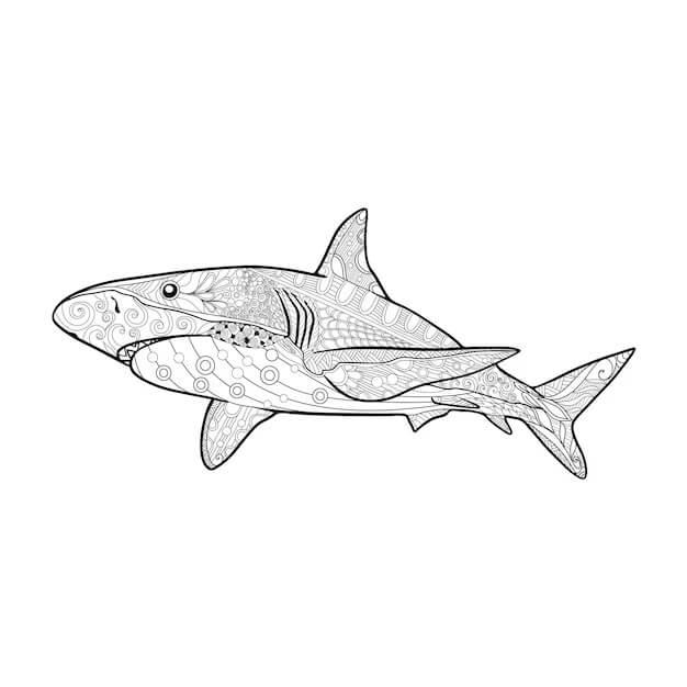 Coloriage Mandala: Requin Feuille 5 Mandalas