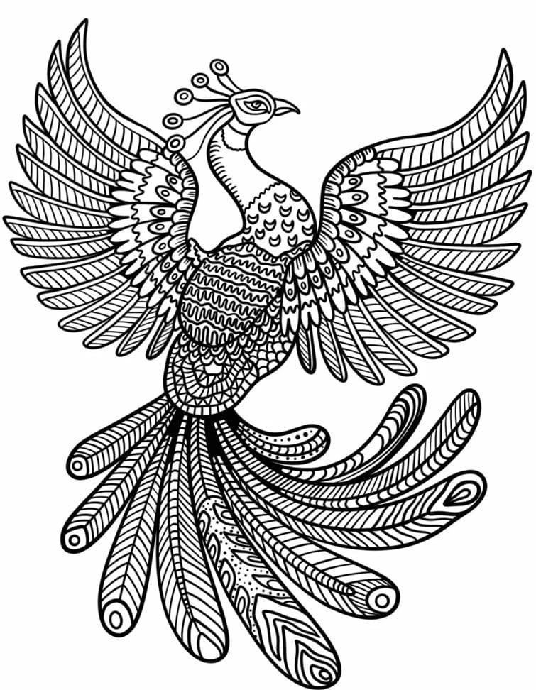 Coloriage Madala: Paon magnifique Mandalas