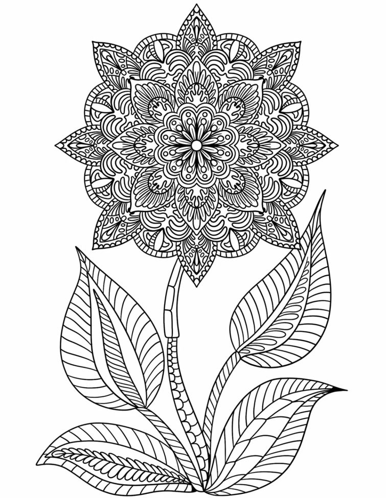 Coloriage Mandala: Fleur avec tige Mandalas