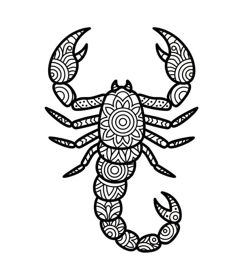 Coloriage Mandala: Un Scorpion du désert Mandalas