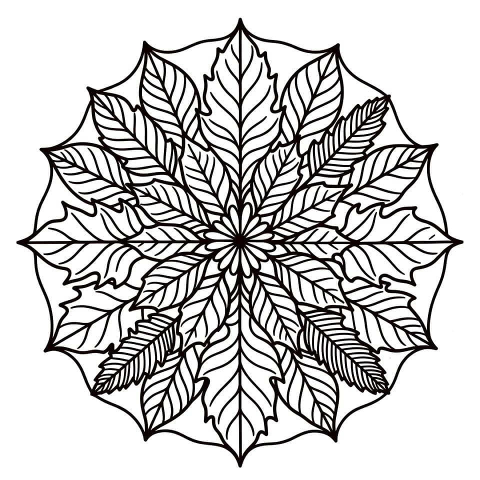 Coloriage Mandala: Feuilles simples Mandalas