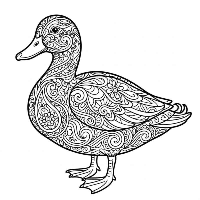Coloriage Mandala: Canard à motifs cachemire Mandalas