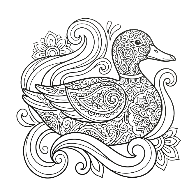 Coloriage Mandala Canard Mandalas