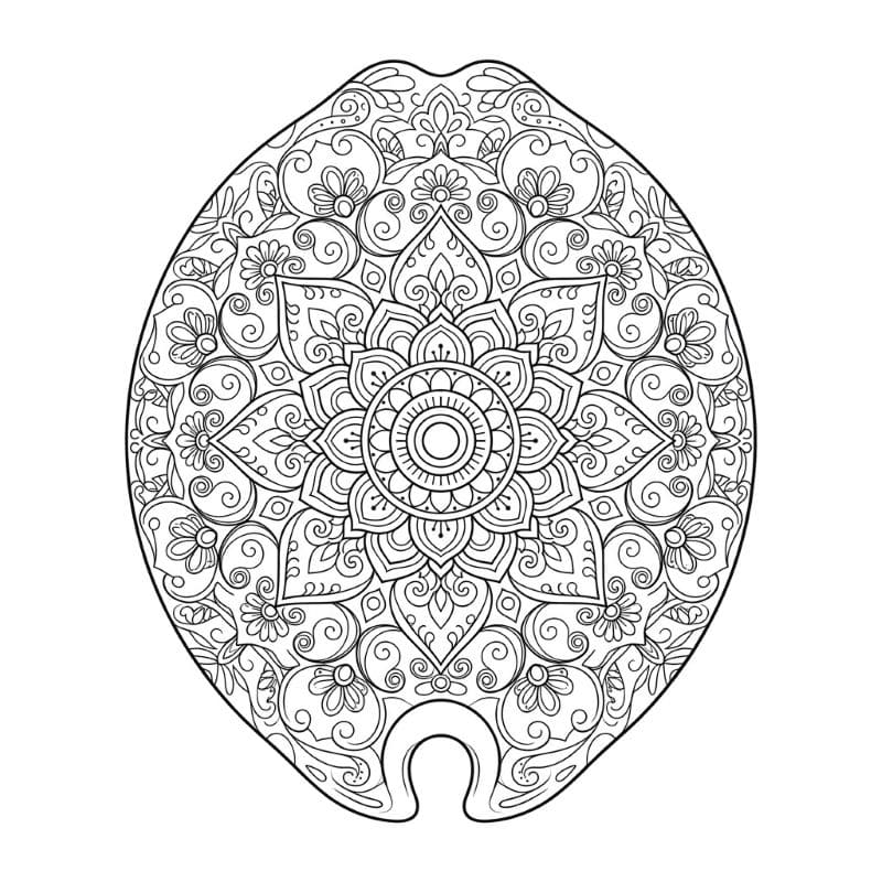 Coloriage Mandala: Coquillage cauri Mandalas