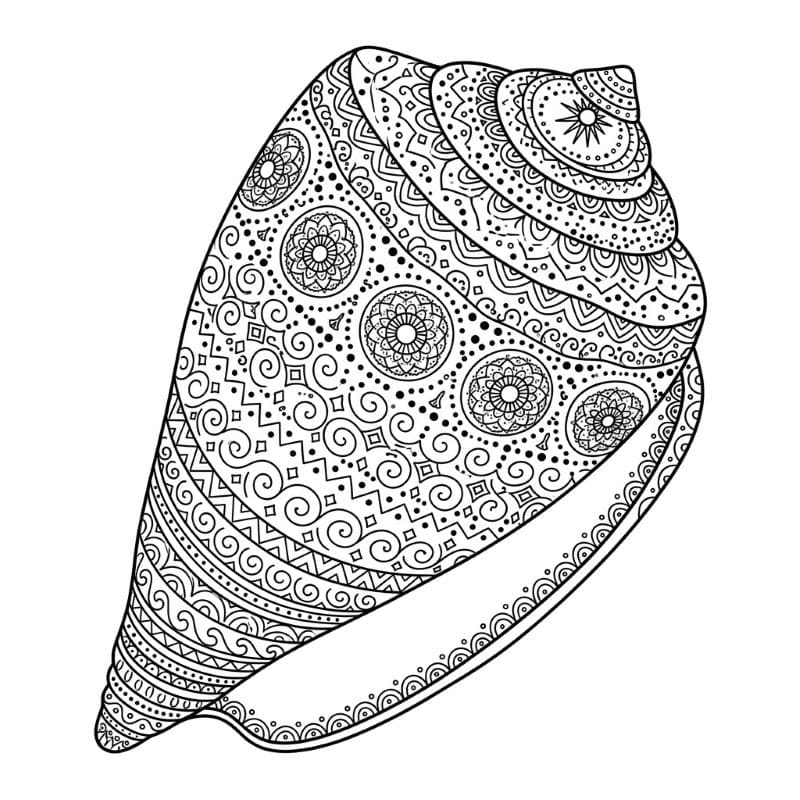 Coloriage Mandala: Coquillage conique Mandalas