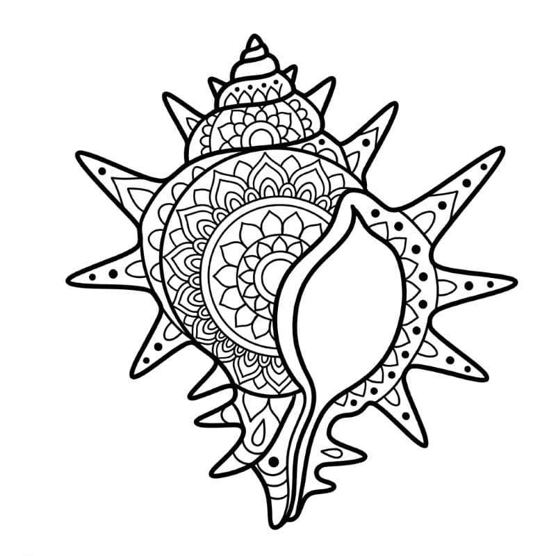 Coloriage Mandala: Coquille de murex Mandalas
