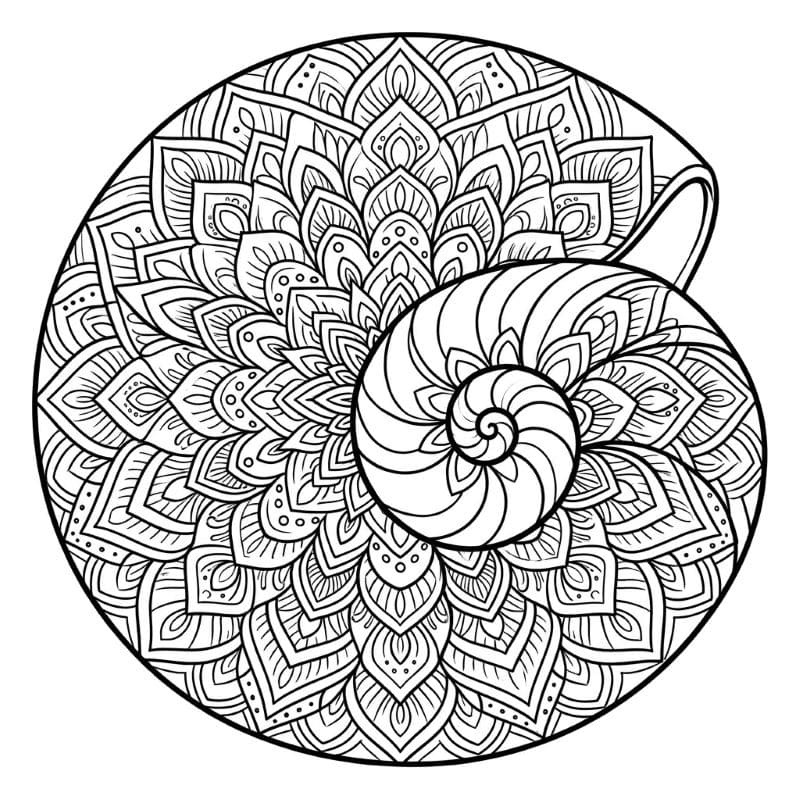 Coloriage Mandala: Coquille de nautile Mandalas