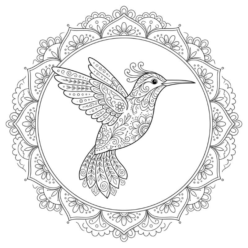 Coloriage Mandala: Colibri aux motifs décoratifs Mandalas
