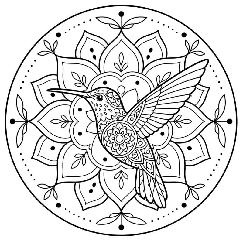 Coloriage Mandala: Colibri de base Mandalas