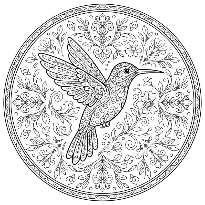 Coloriage Mandala: Colibri extraordinaire Mandalas