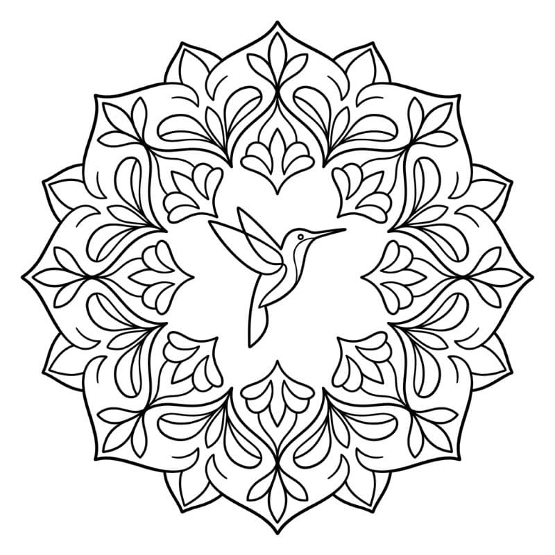 Coloriage Mandala: Colibri minimaliste Mandalas