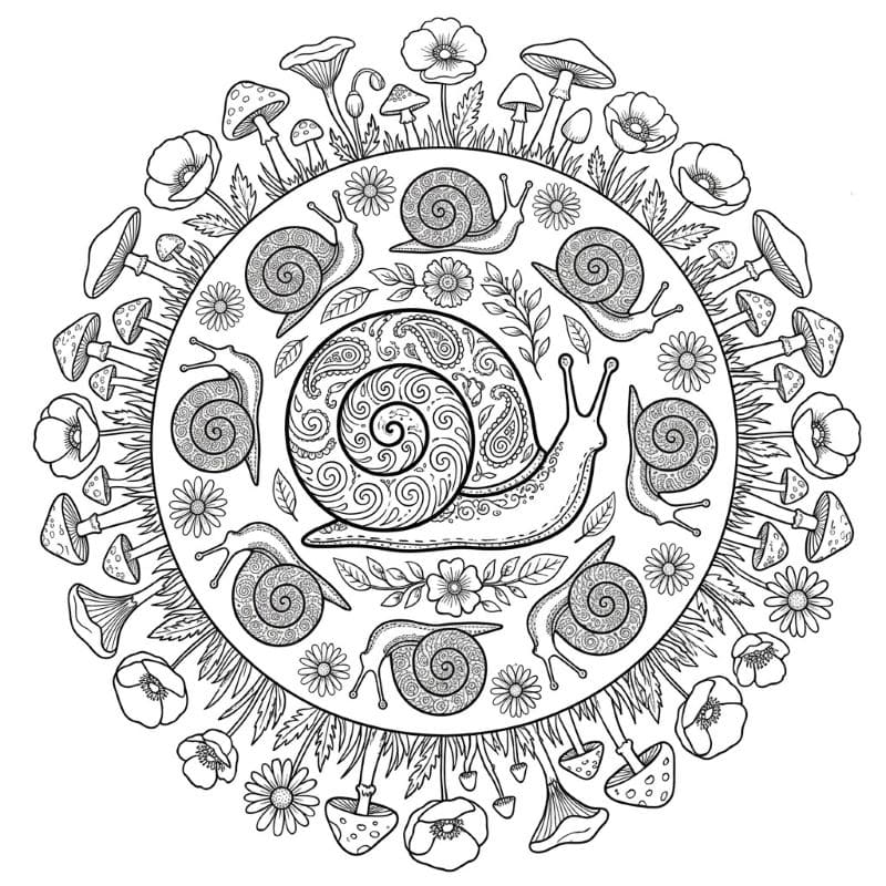 Coloriage Mandala: Escargots et éléments botaniques Mandalas