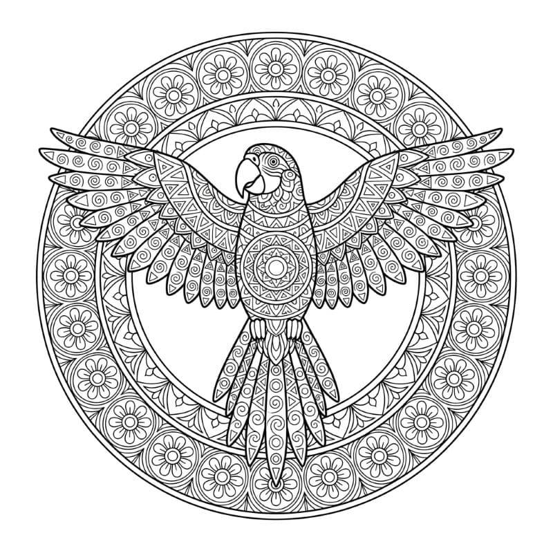 Coloriage Mandala: Grand perroquet Mandalas