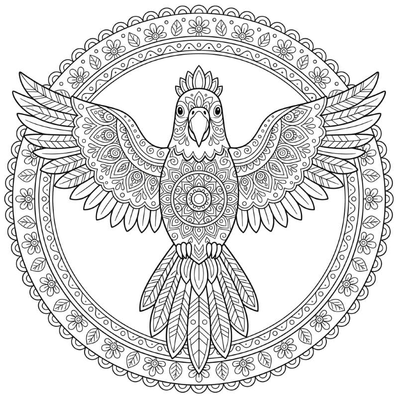 Coloriage Mandala: Perroquet à motifs floraux Mandalas