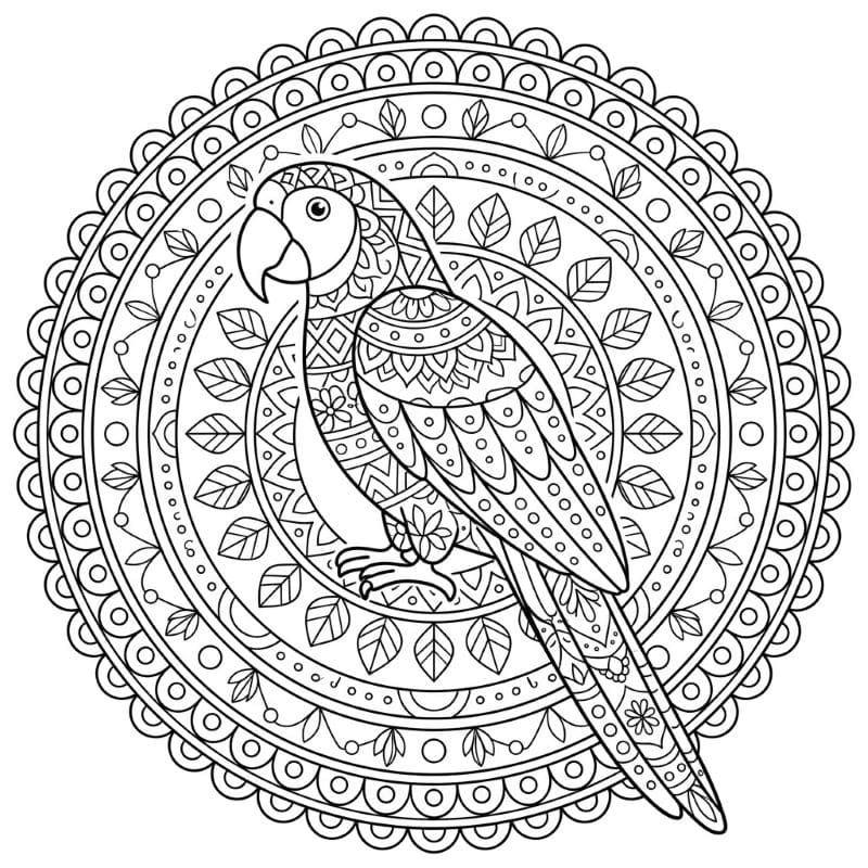 Coloriage Mandala: Perroquet aux motifs simples Mandalas