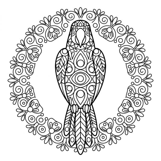 Coloriage Mandala: Perroquet aux motifs symétriques Mandalas