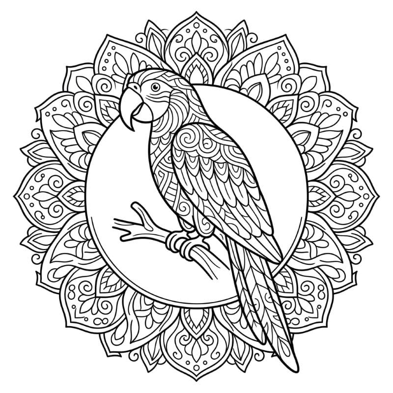 Coloriage Mandala: Perroquet avec éléments décoratifs Mandalas