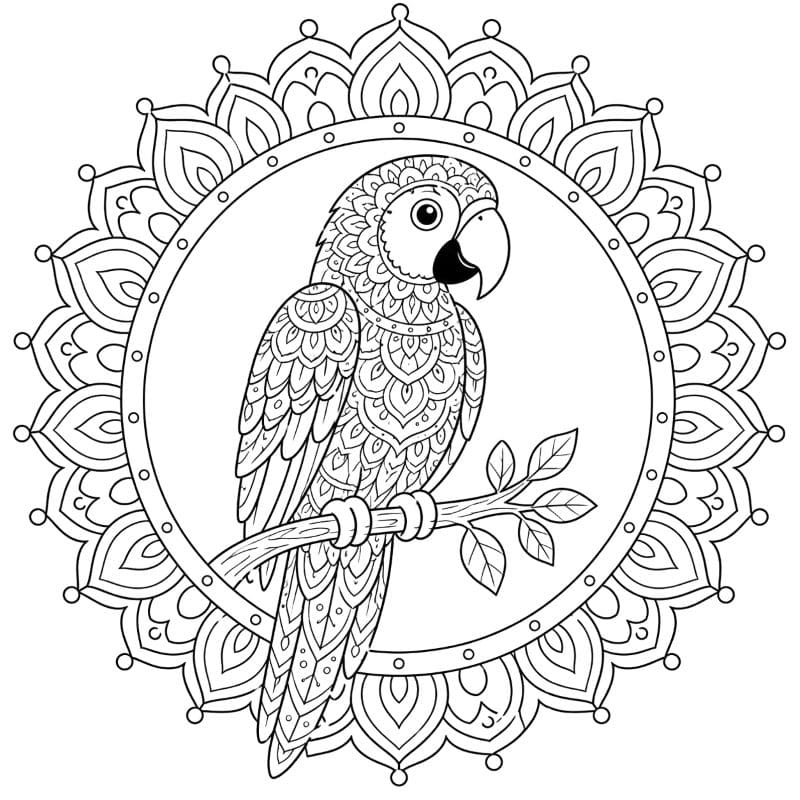 Coloriage Mandala: Perroquet de dessin animé Mandalas