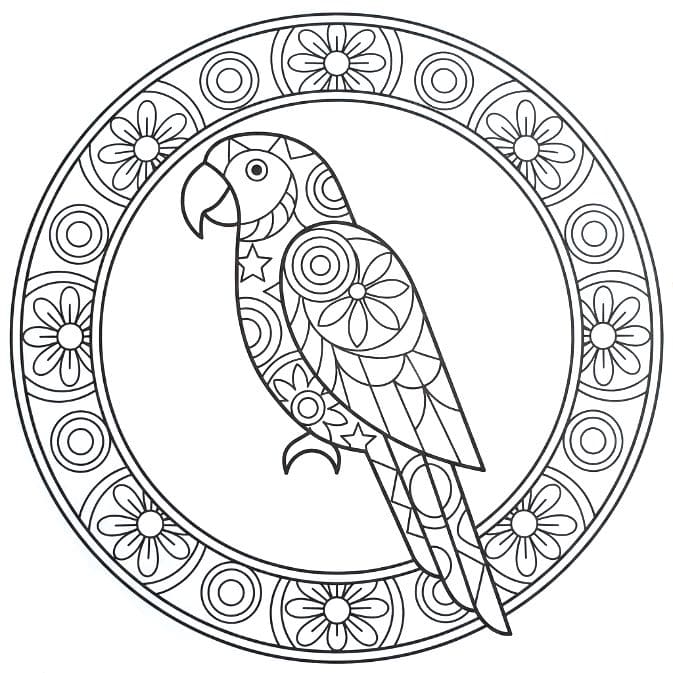 Coloriage Mandala: Perroquet facile Mandalas